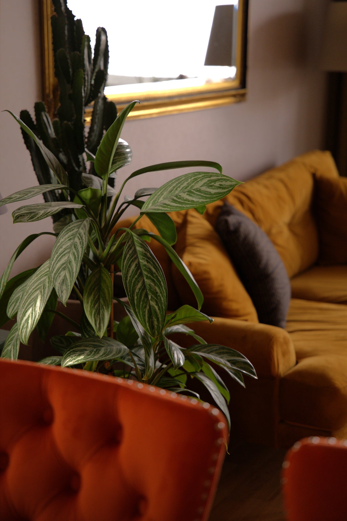 Green Design - Grand