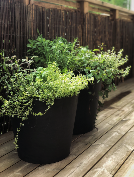 Potted Garden - Standard