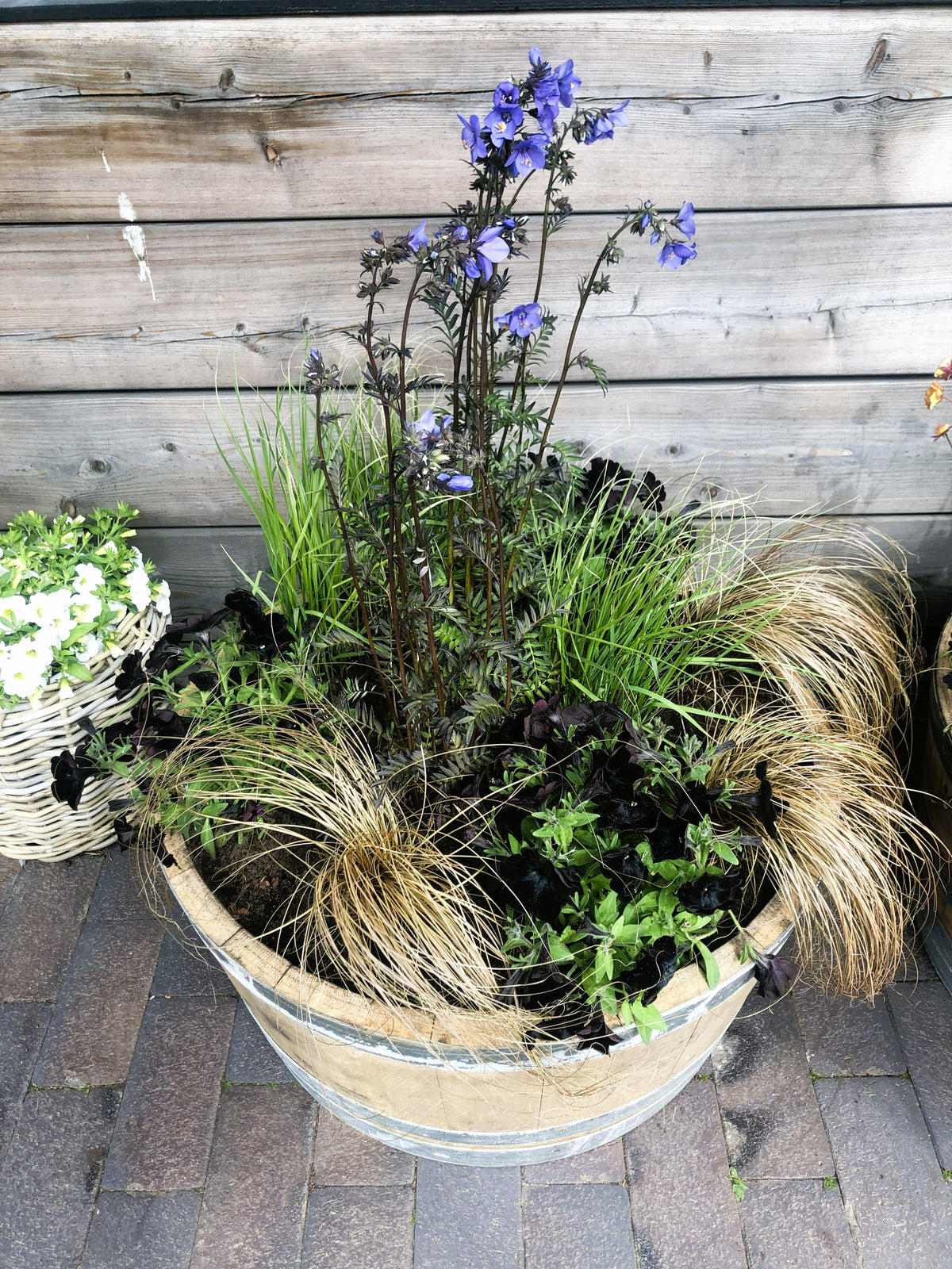 Potted Garden - Petit