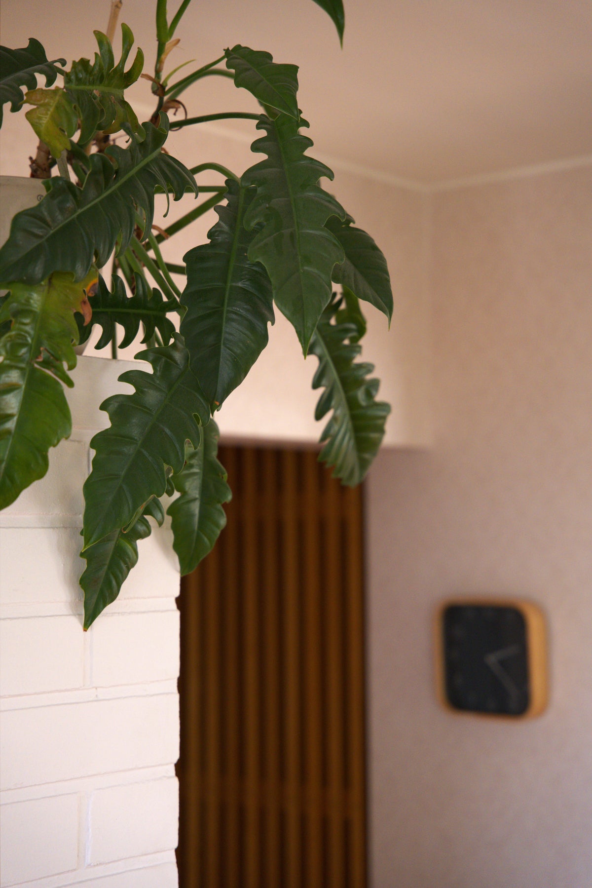 Green Design - Petit