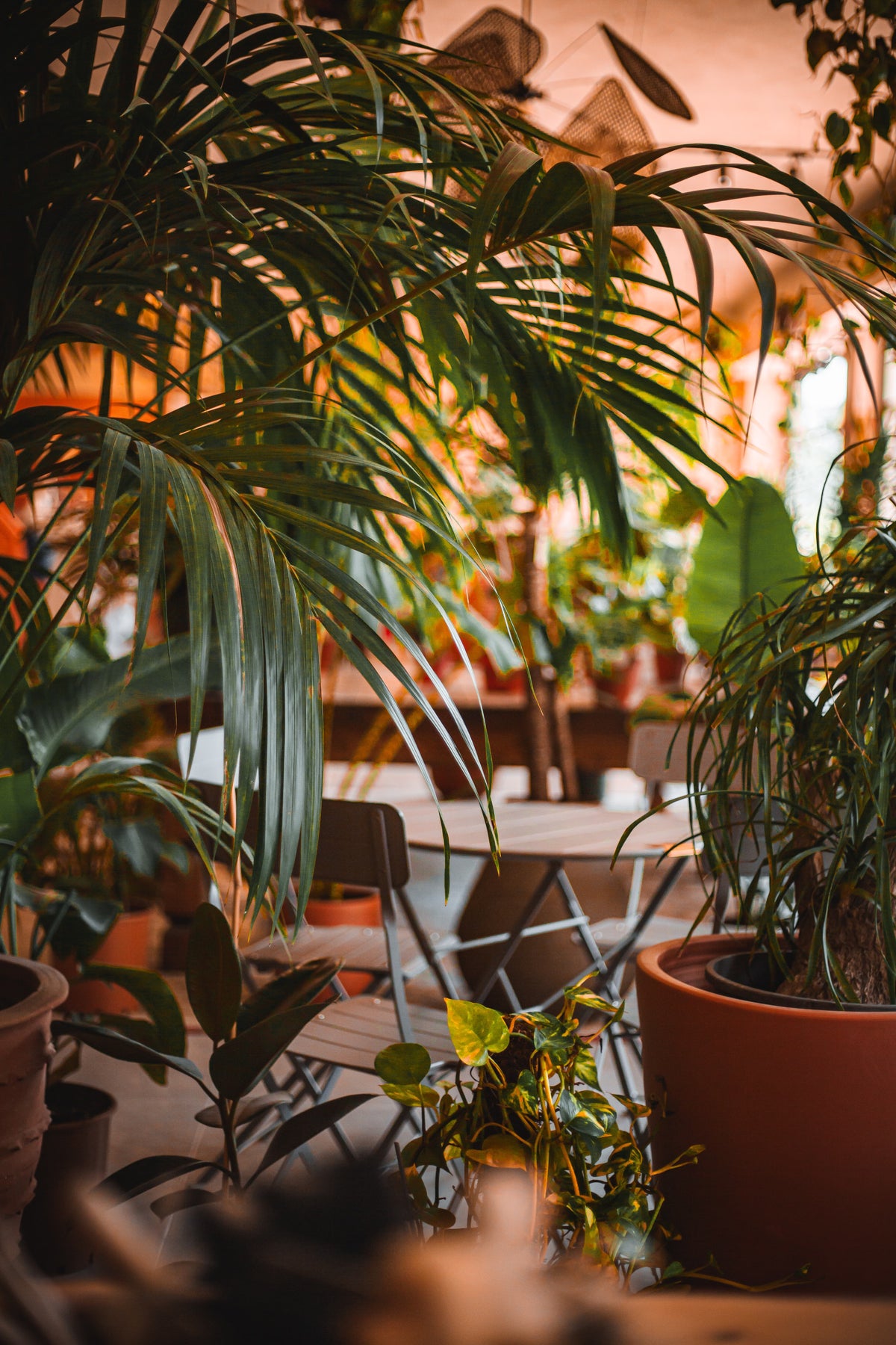 Green Design - Grand